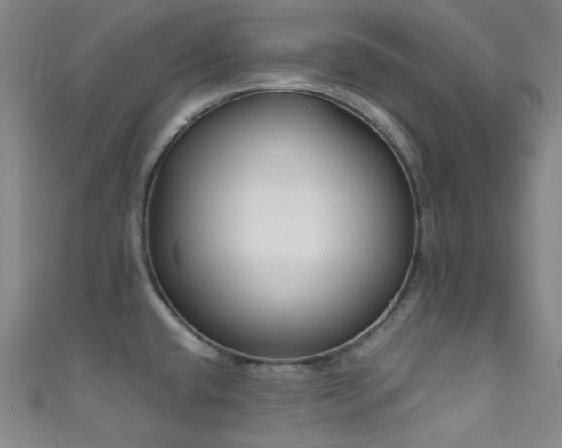 X0000111591432200907161444