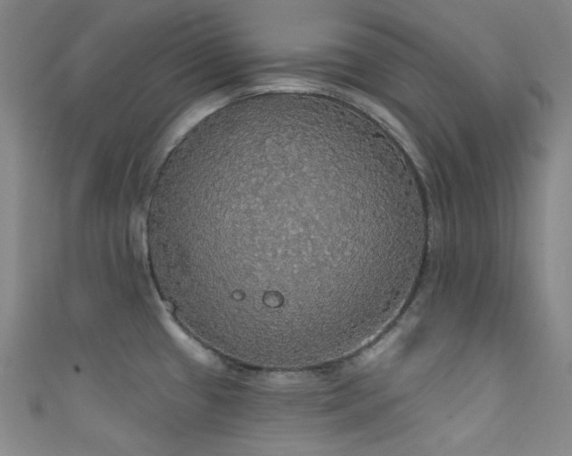 X0000111591433200907161444