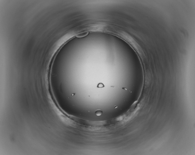 X0000111591434200907161444