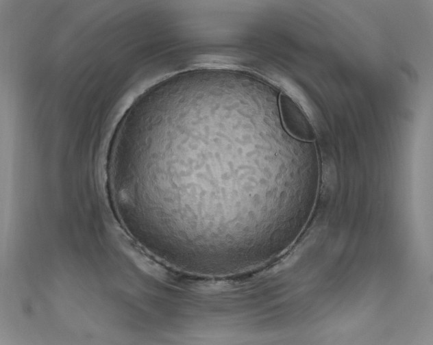 X0000111591435200907161444