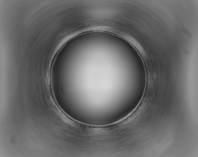 X0000111591436200907161444