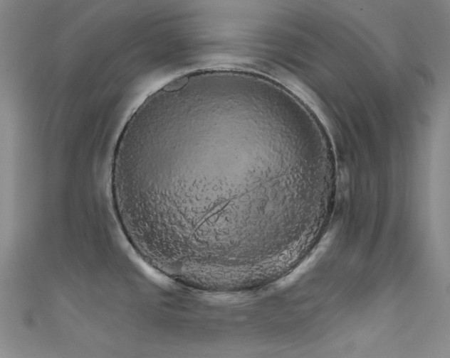 X0000111591437200907161444