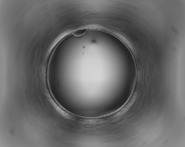 X0000111591438200907161444