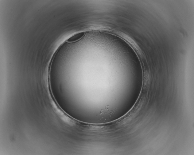 X0000111591439200907161444