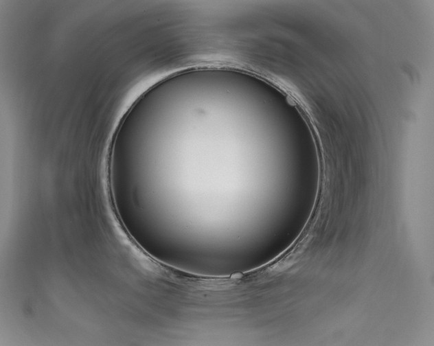 X0000111591440200907161444