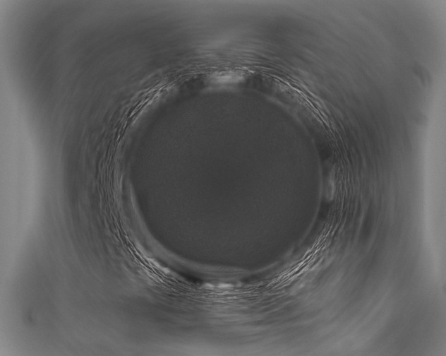 X0000111591441200907161444