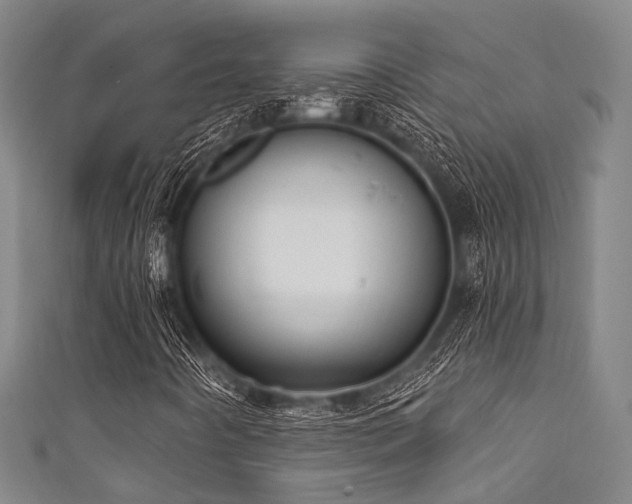 X0000111591442200907161444