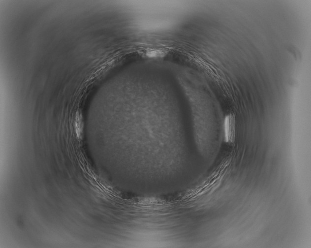 X0000111591443200907161444