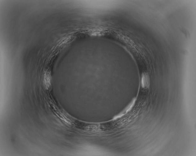 X0000111591444200907161444