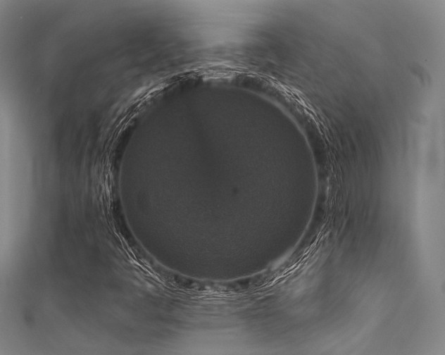 X0000111591445200907161444