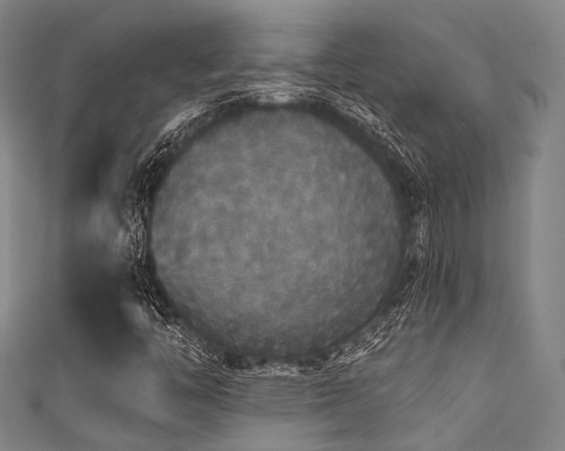 X0000111591446200907161444