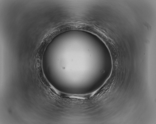 X0000111591447200907161444