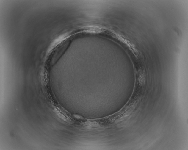 X0000111591448200907161444