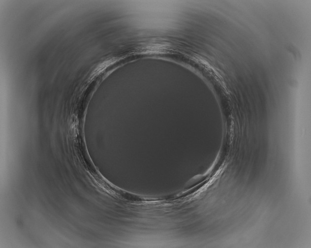 X0000111591449200907161444