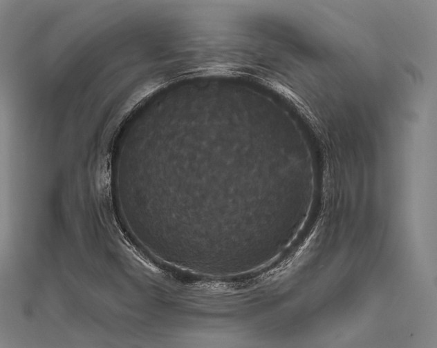 X0000111591450200907161444