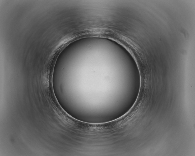 X0000111591451200907161444