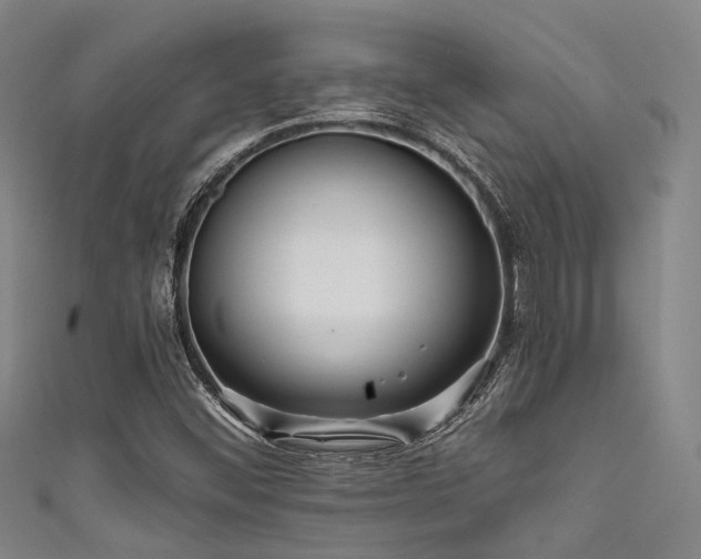 X0000111591452200907161444