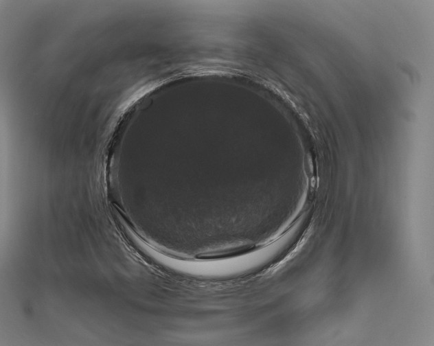 X0000111591453200907161443