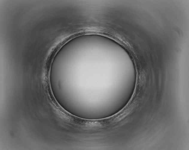 X0000111591454200907161443