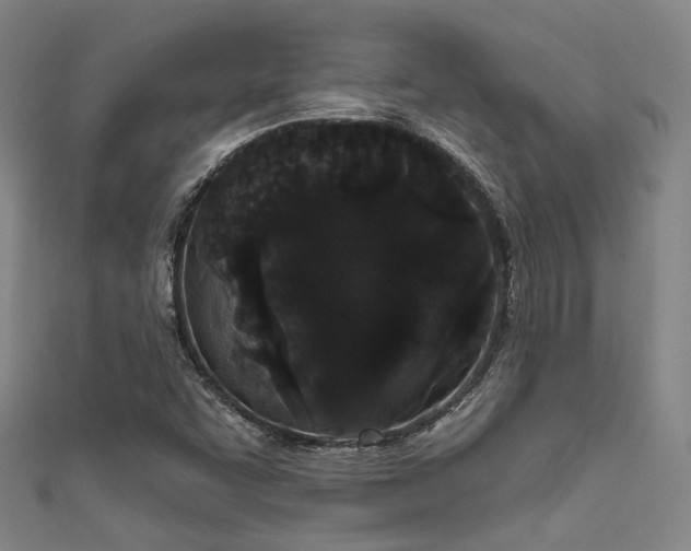 X0000111591455200907161443