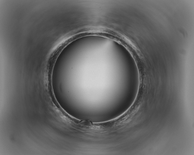 X0000111591456200907161443