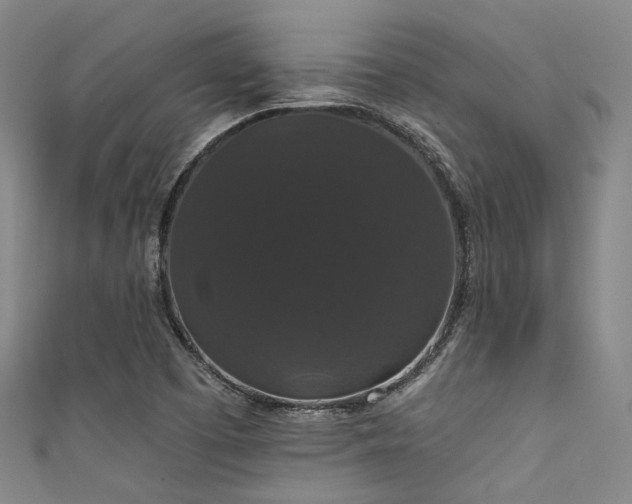 X0000111591457200907161443