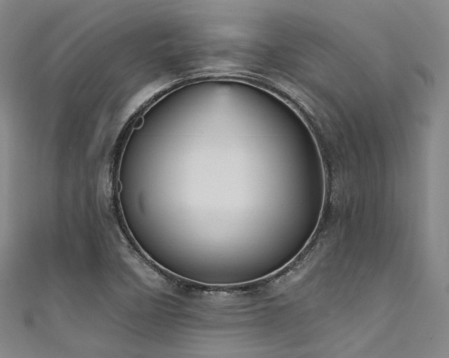 X0000111591458200907161443