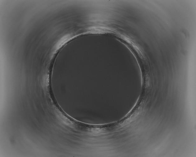 X0000111591459200907161443