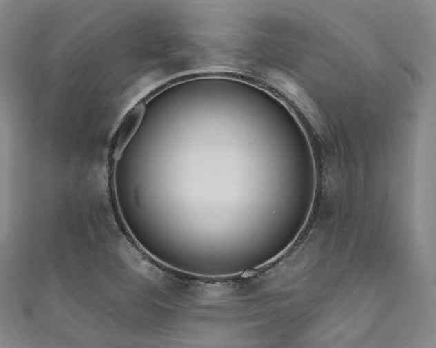 X0000111591460200907161443