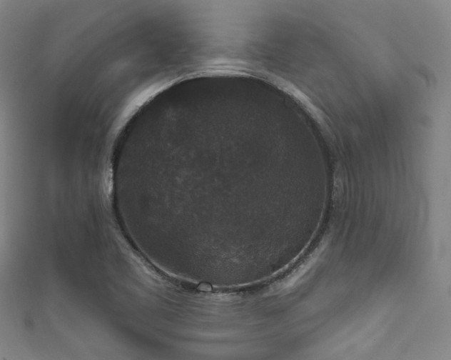 X0000111591461200907161443