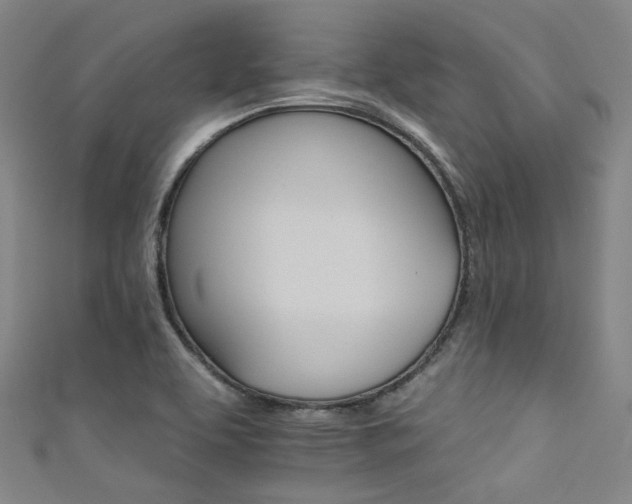 X0000111591463200907161443