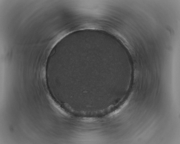 X0000111591465200907161443