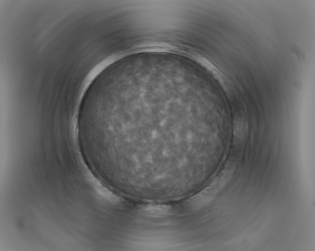 X0000111591466200907161443