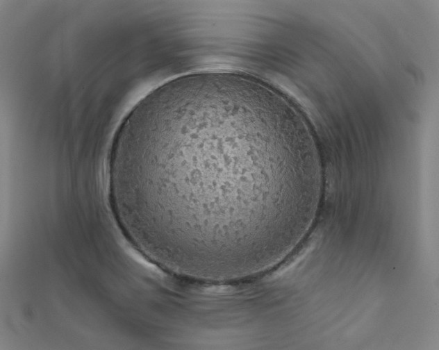 X0000111591467200907161443