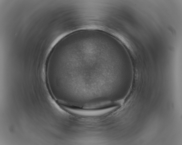 X0000111591468200907161443