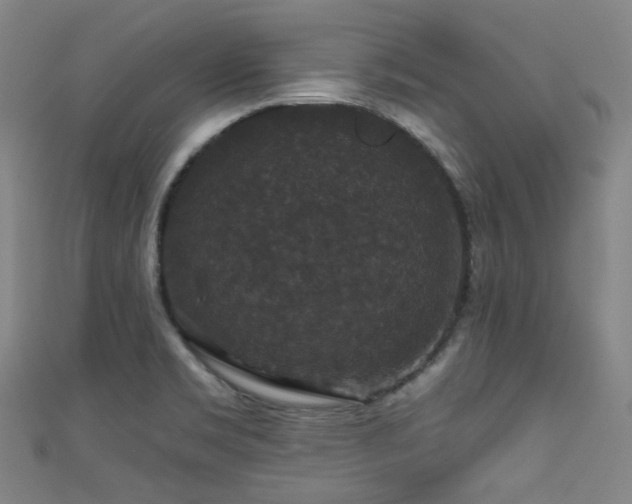 X0000111591469200907161443