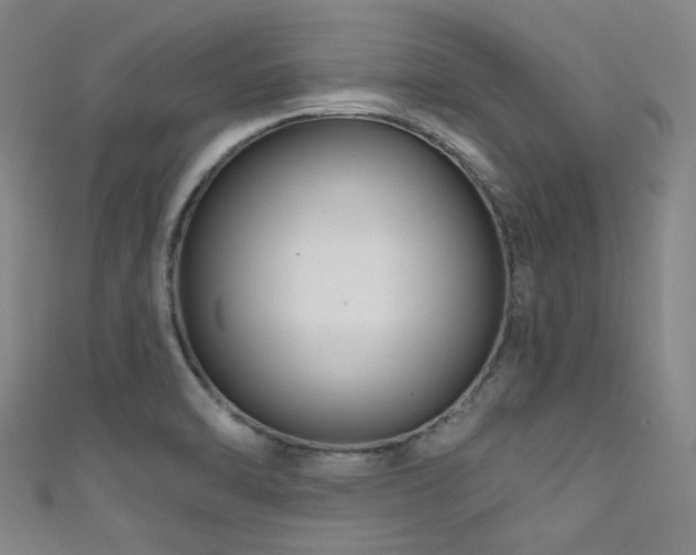 X0000111591470200907161443