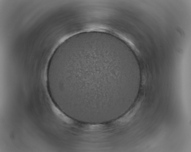 X0000111591471200907161443