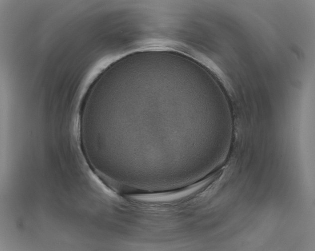 X0000111591472200907161443