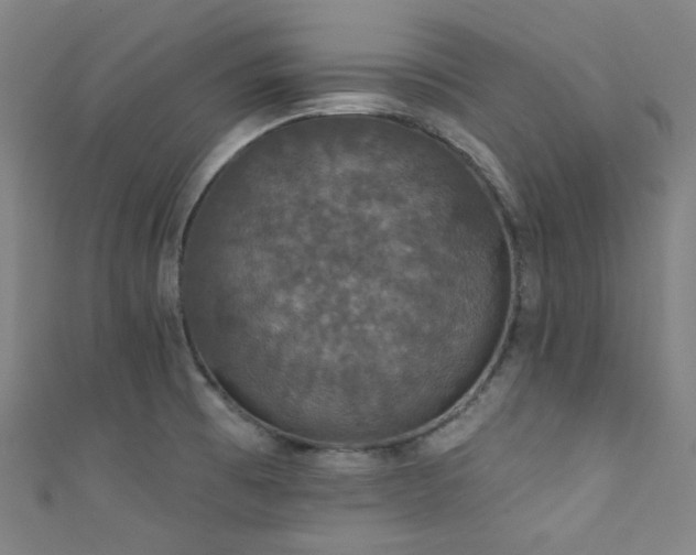 X0000111591473200907161443