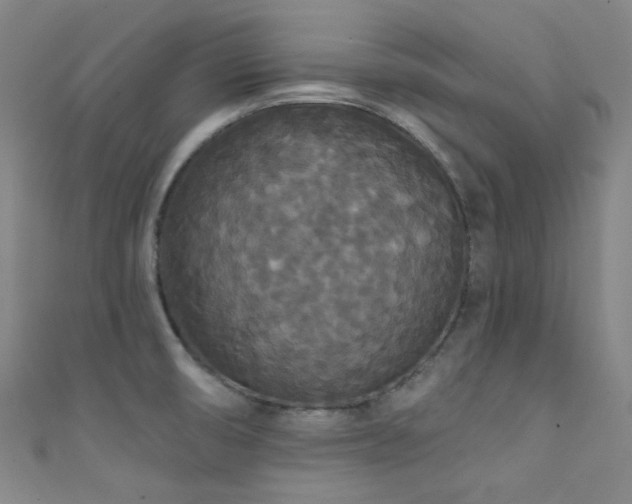 X0000111591474200907161443