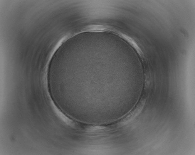 X0000111591475200907161443