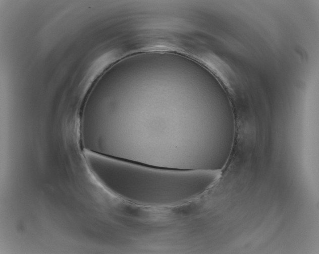 X0000111591476200907161443