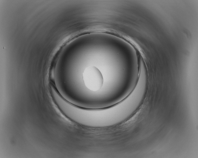 X0000111591477200907161443