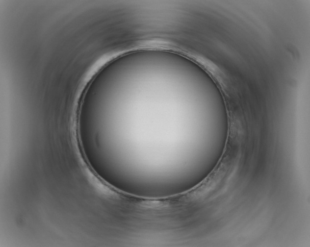 X0000111591478200907161443