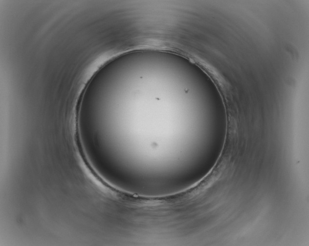 X0000111591479200907161443