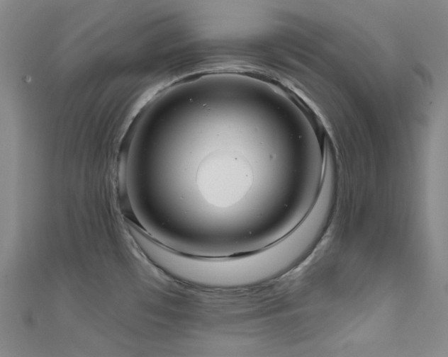 X0000111591481200907161443