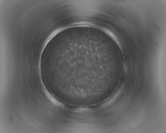 X0000111591482200907161443