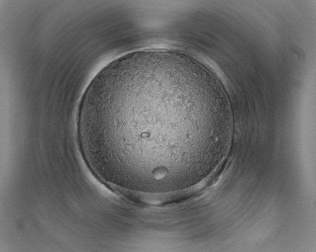 X0000111591483200907161443