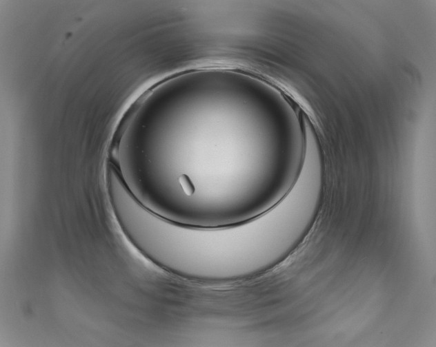 X0000111591484200907161443